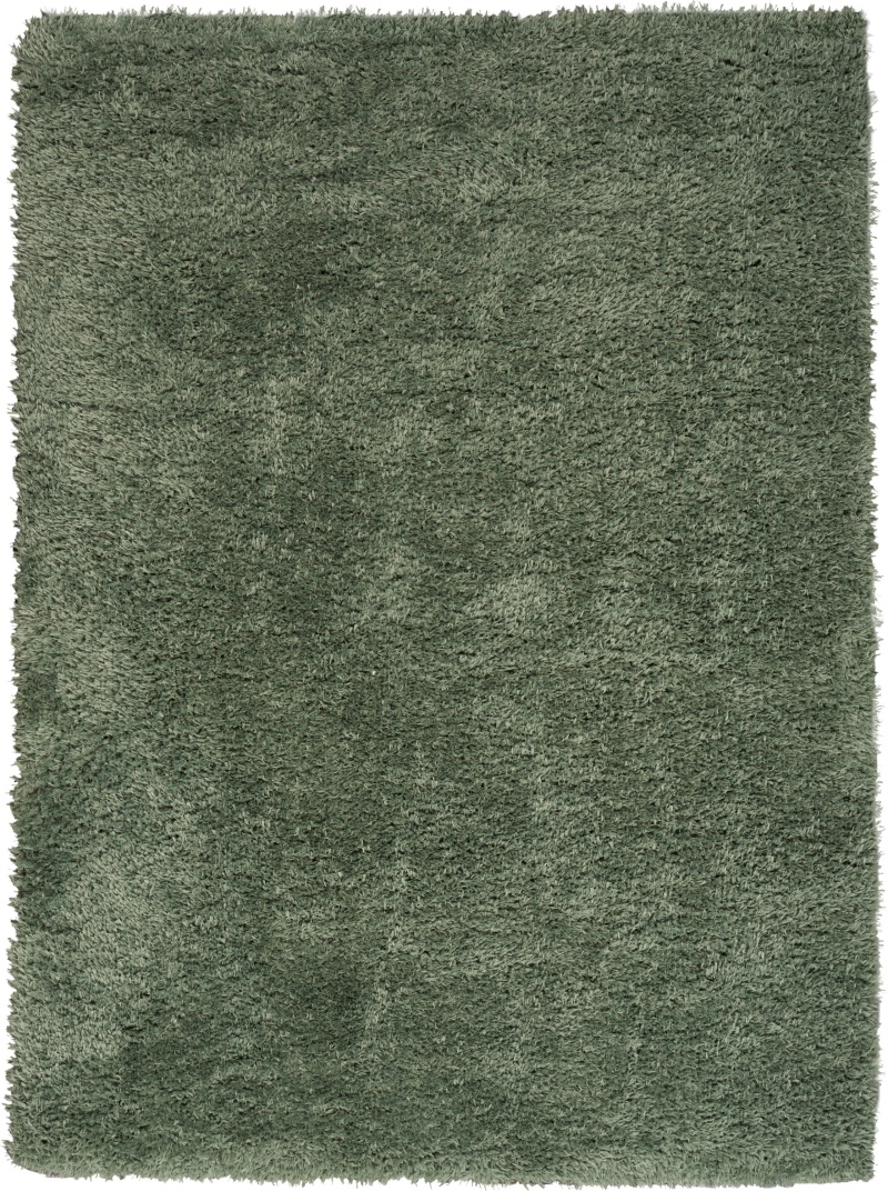 Lush Shag Sage Polyester Shag Area Rug - 5 Ft X 7 Ft