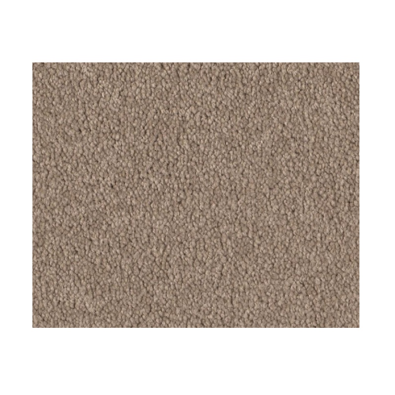 Bright Spirit I 12 Soft Shadow Nylon Carpet - Textured