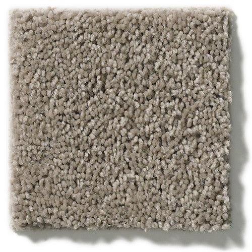 Secretly Eagle Rock Nylon Carpet - Textured