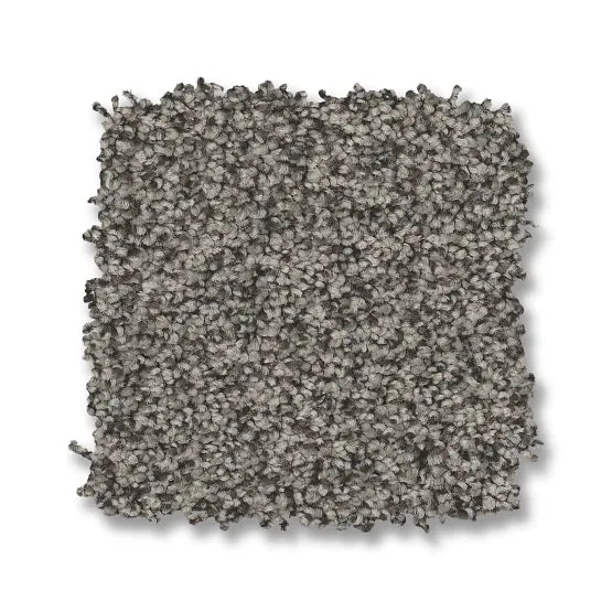 Avalon Bay Asphalt Nylon Carpet - Textured