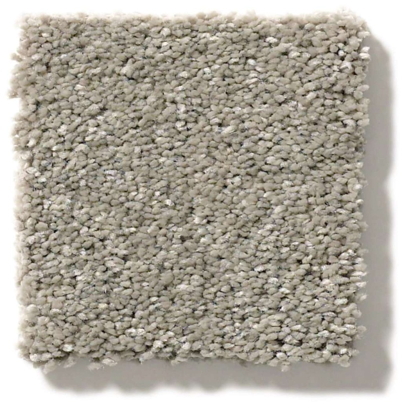 Simply The Best After All II Rustic Taupe Polyester Carpet