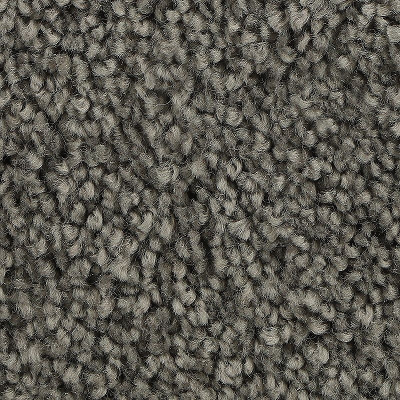 Soft Outlook Dorian Polyester Carpet - Textured