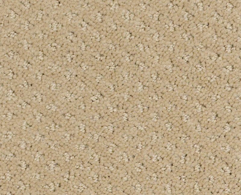 Brave Heart Biscuit Nylon Carpet