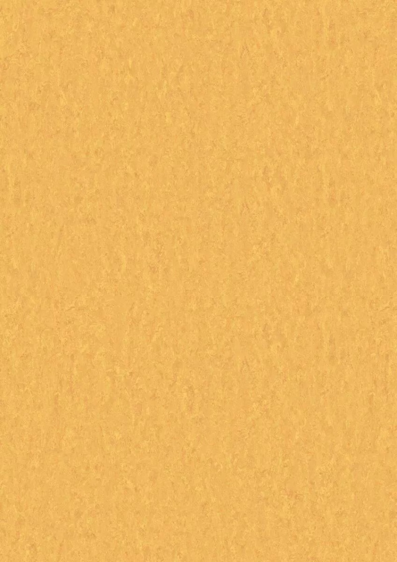 Linofloor Xf2 Elle Gold (728) Linoleum