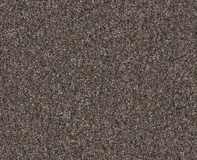 Bending The Rules Ii 15 Cafe Noir Polyester Carpet