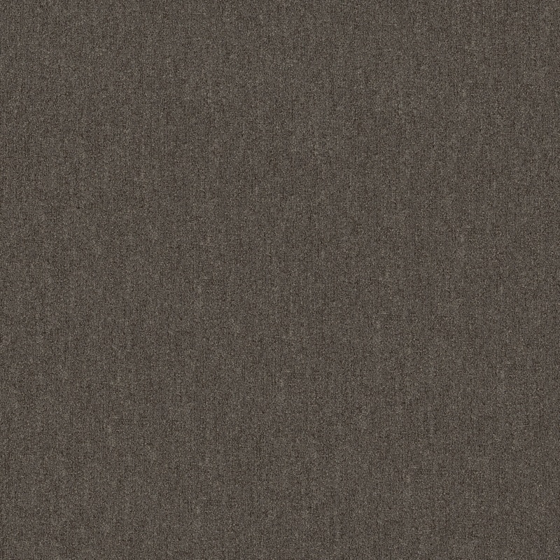 Broad Street BL Cobblestone Polyester Carpet