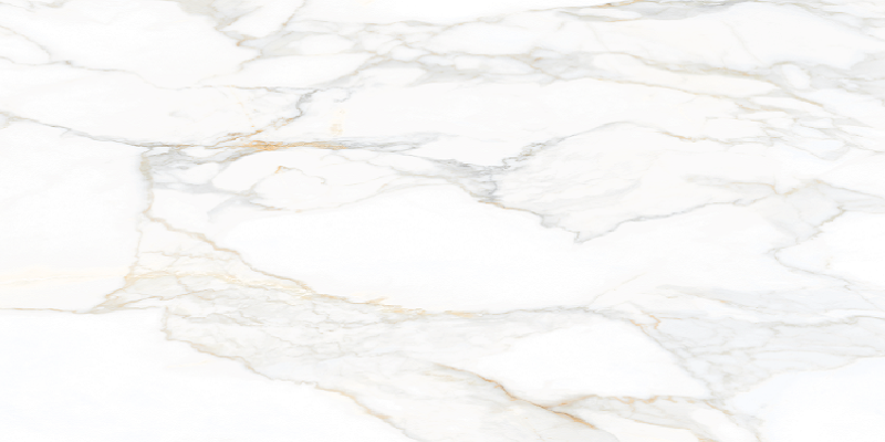 Paonazzo Calacatta Gold Porcelain Tile - Matte