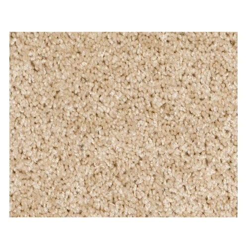 Silver Strand Muslin Nylon Carpet - Textured
