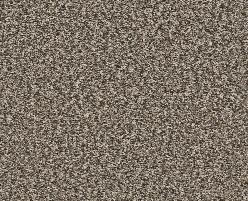 Artsy I Soft Sense Polyester Carpet - Textured