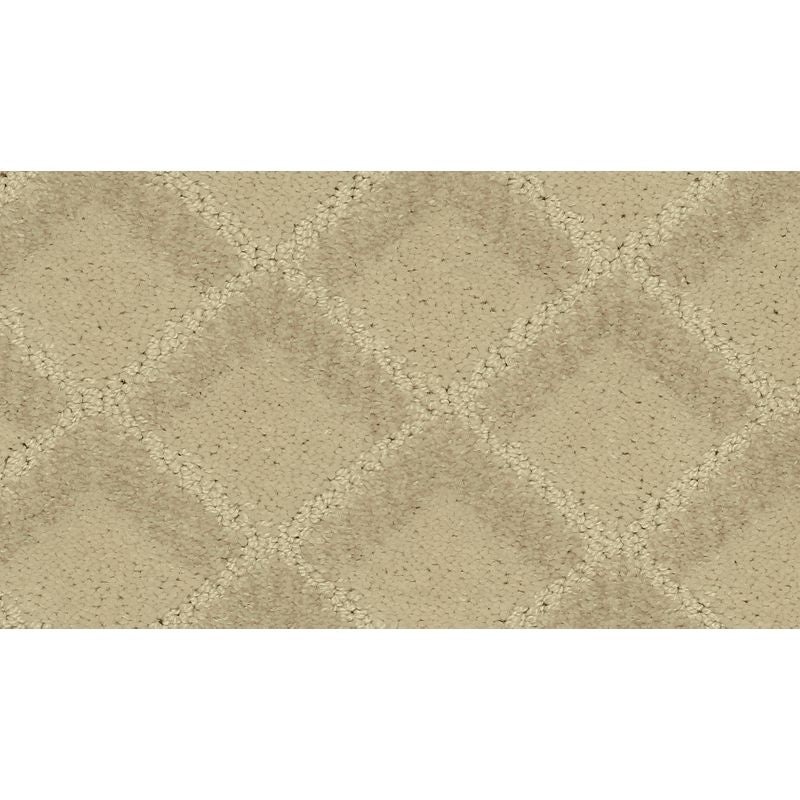 Graceful Appeal Whirlwind Polyester Carpet - Pattern