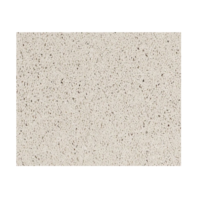 Castle Pv Iii Suffolk Nylon Carpet - Textured