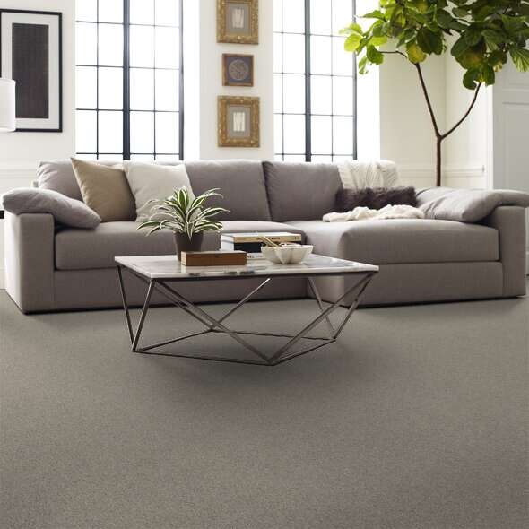 Soft Shades My Choice I Natural Nylon Carpet - Textured