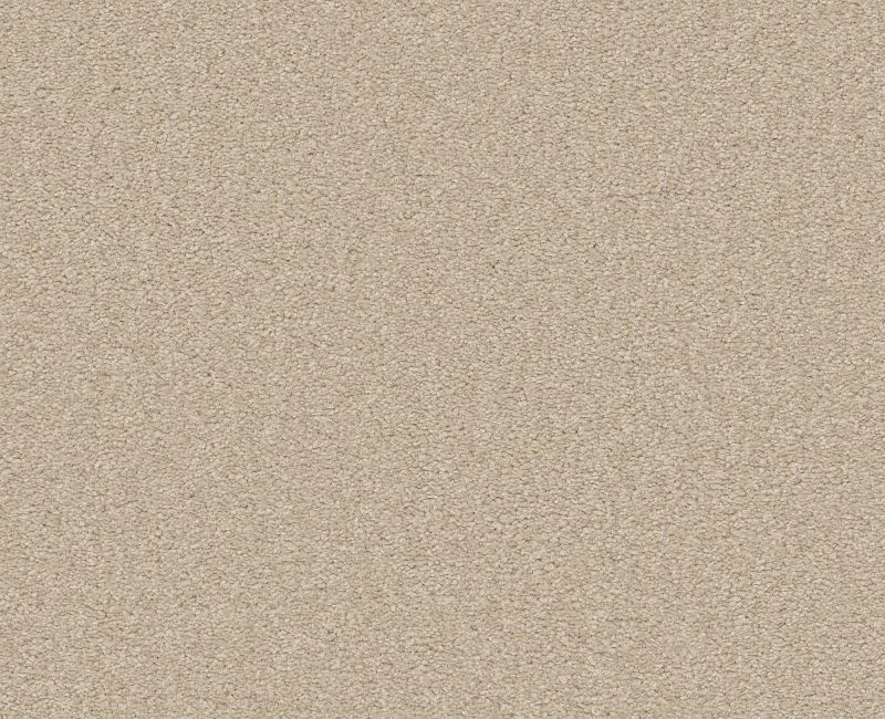 Magic Happens Pv Iv Sea Salt Nylon Carpet - Textured