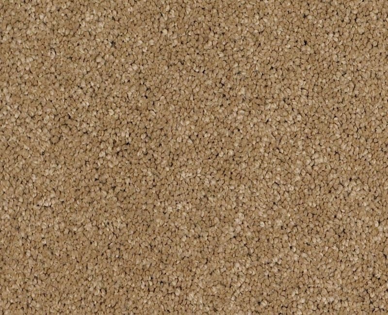 Pelotage Iv Navajo Nylon Carpet - Textured