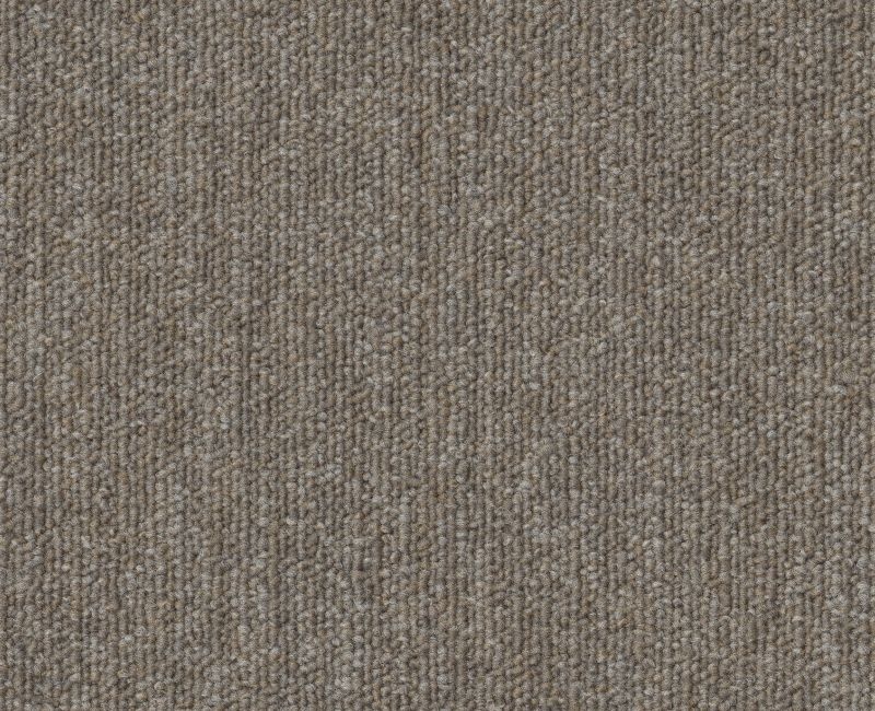 Clearance Sale! Profusion Bl 13 Taupe / Gray Polyester Carpet - Loop