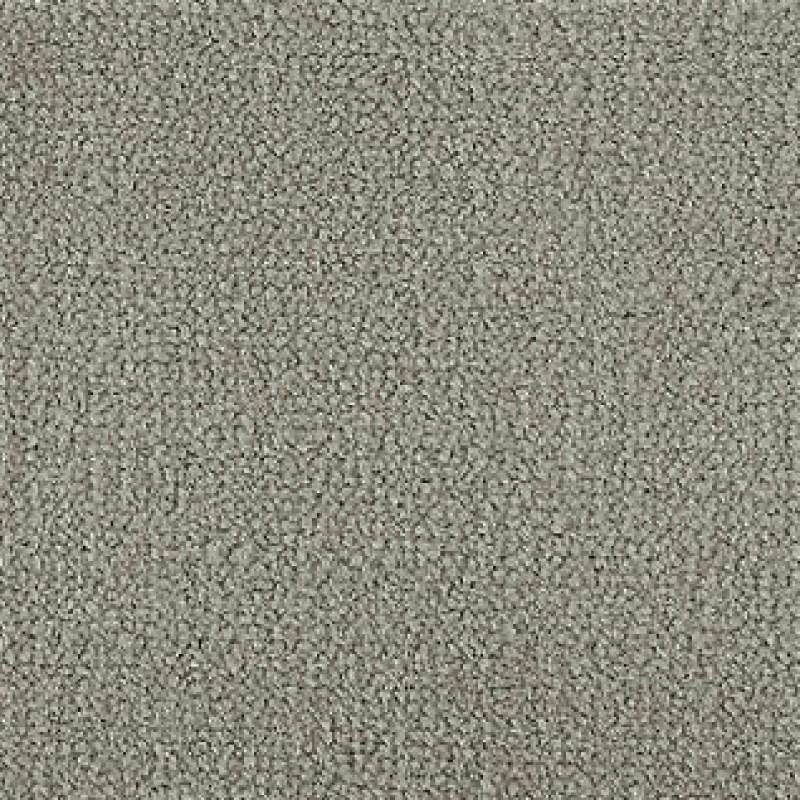 Influencer 42 Classic Silver Nylon Carpet - Textured