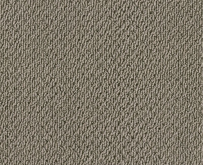 Lasting Loop Rocky Coast Nylon Carpet - Loop