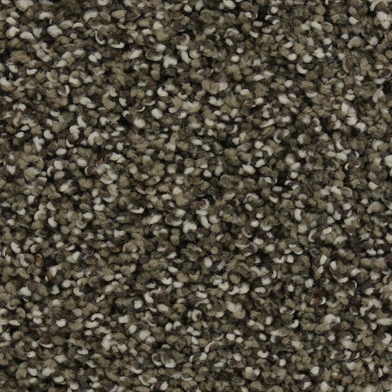 Natural Opulence I Taupe Delight Triexta Carpet - Textured