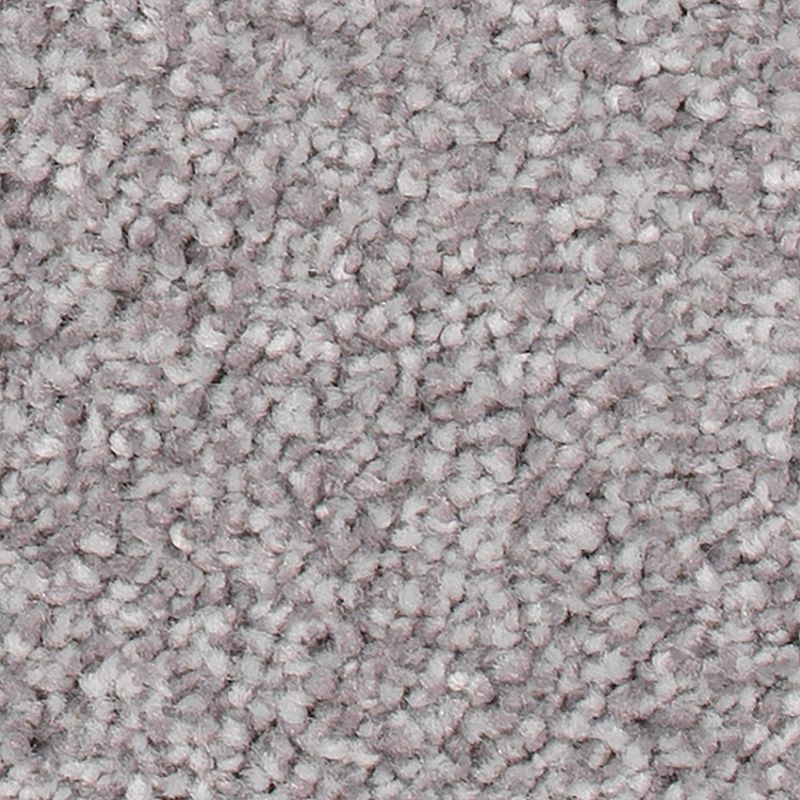 Soft Comfort Aspen Summit Polyester Carpet - Textured
