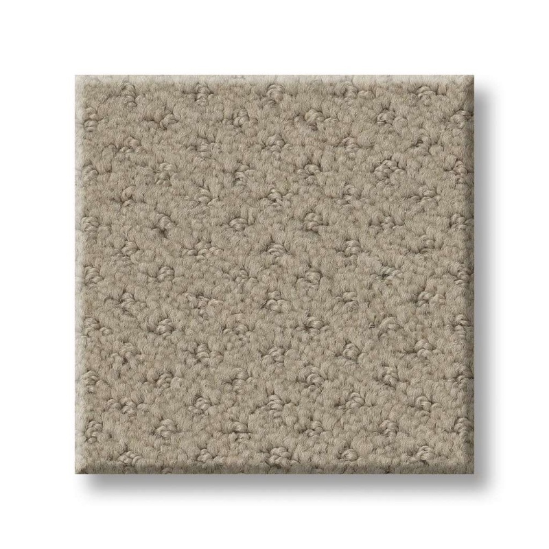 Foundations Infallible Instinct Studio Taupe Nylon Carpet - Pattern