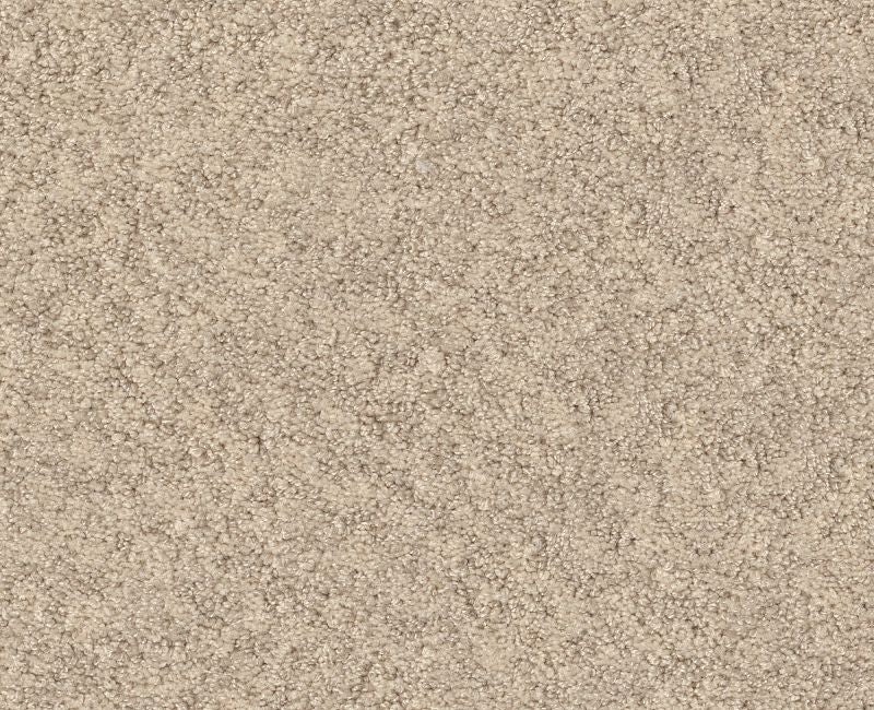 Showy Sun Kissed Nylon Carpet - Loop