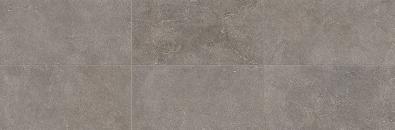 Rhetoric Composition Gray Ceramic Tile - Matte - 8" X 24"