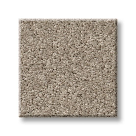 Serendipity I Cement Nylon Carpet - Textured