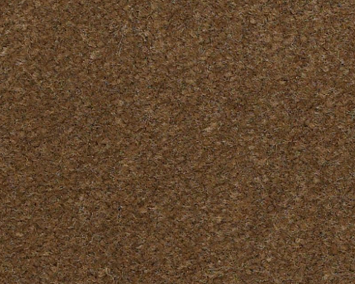 Emphatic Ii 36 Sugar Maple Nylon Carpet - Textured