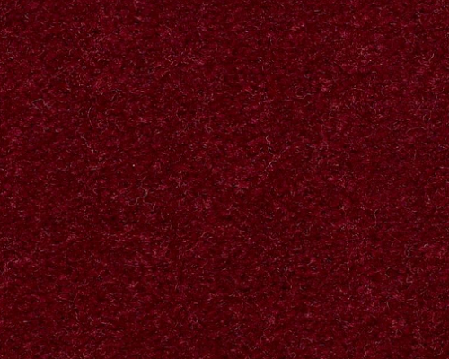 Emphatic II 36 Cranberry Whip Nylon Carpet - Textured