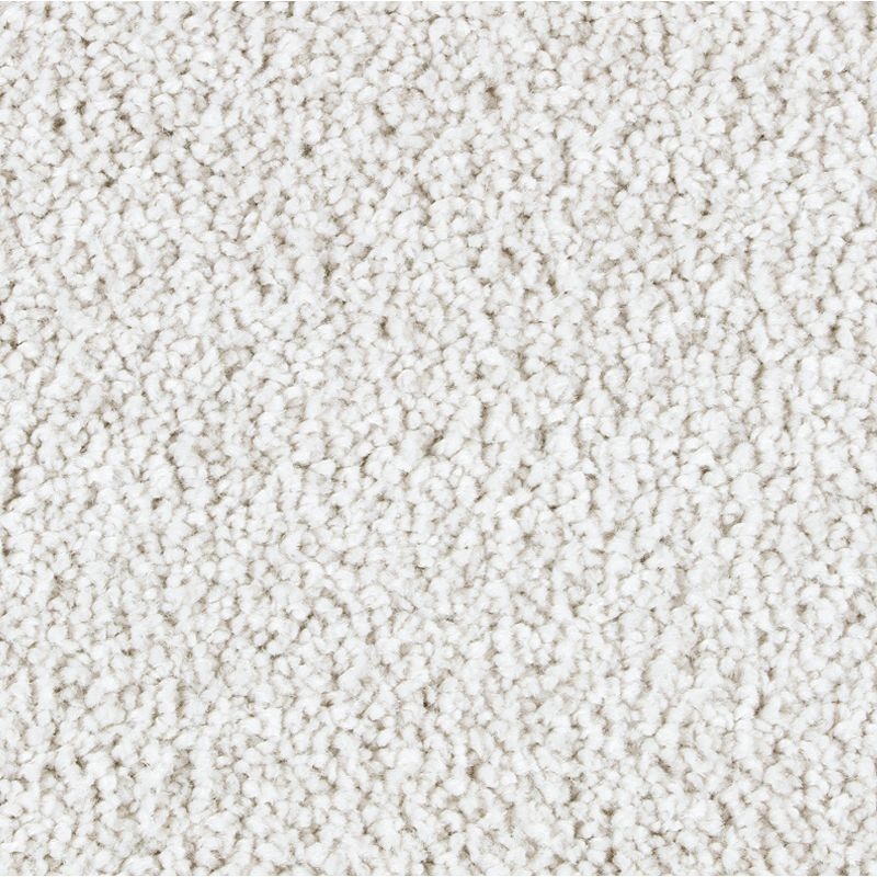 Exquisite Attraction Celestial Triexta Carpet - Textured