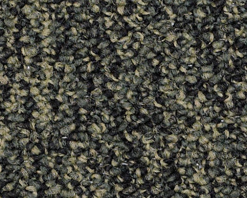 No Limits 22 Boudless Nylon Carpet - Loop