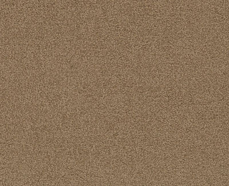 Magic Happens PV III Malted Milk Nylon Carpet