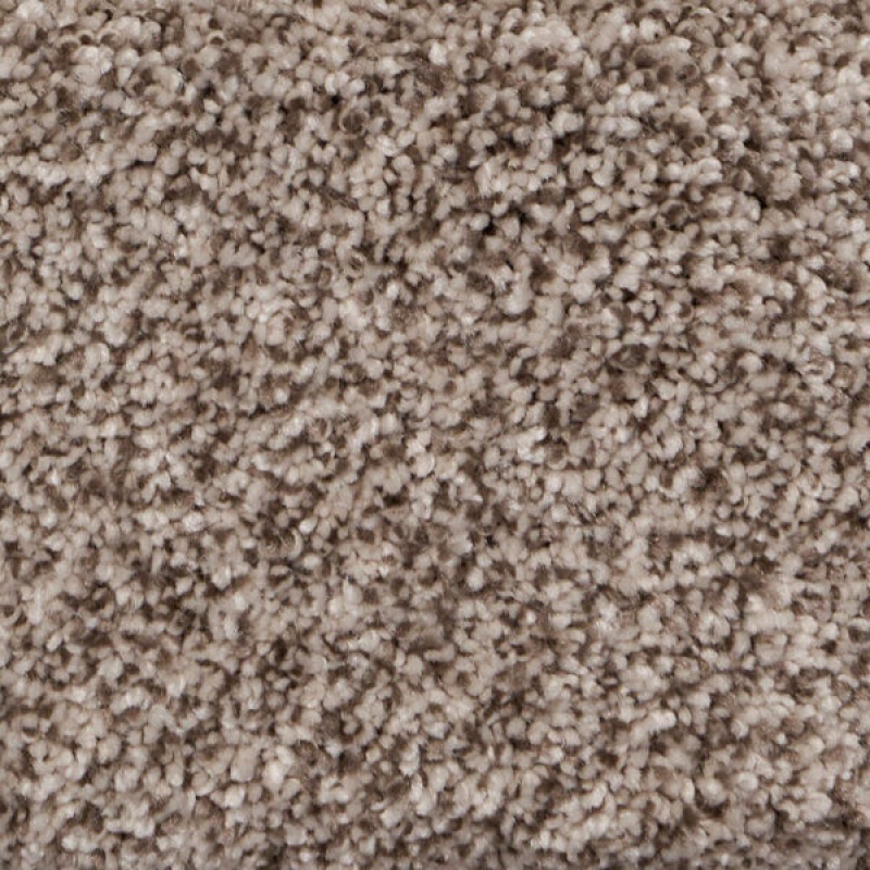 Pure Luxury Ii Glam Polypropylene Carpet - Textured