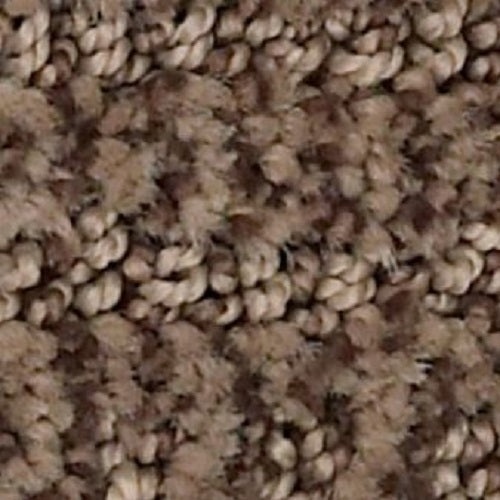 Loredo Fallen Timber Nylon Carpet