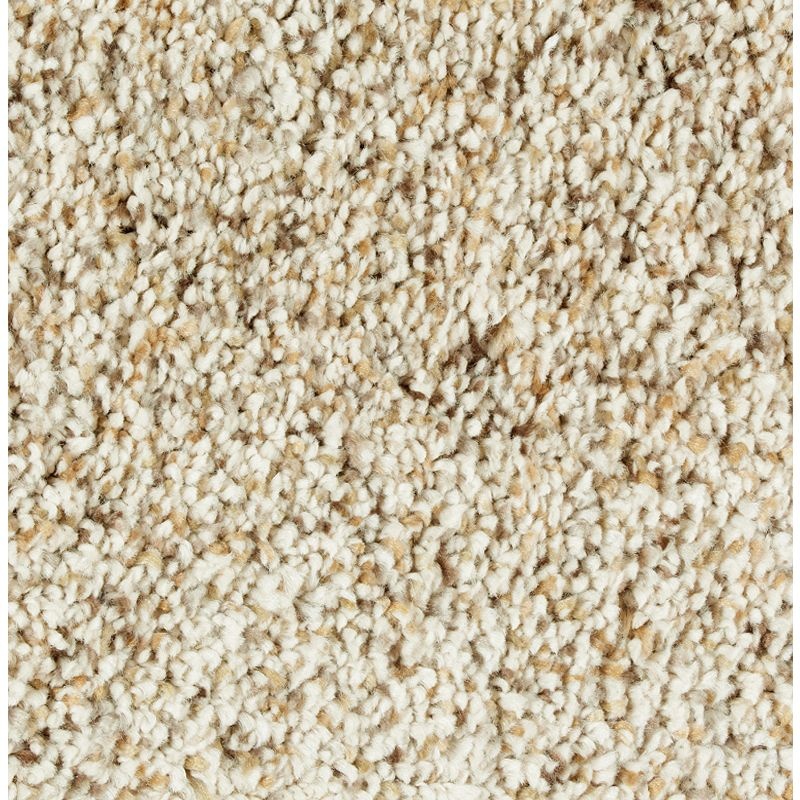 Exquisite Appeal Tumbleweed Triexta Carpet - Textured
