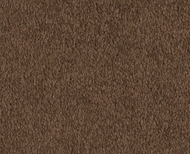 Before Dawn (S) Dark Spice Nylon Carpet - Textured, Full Roll