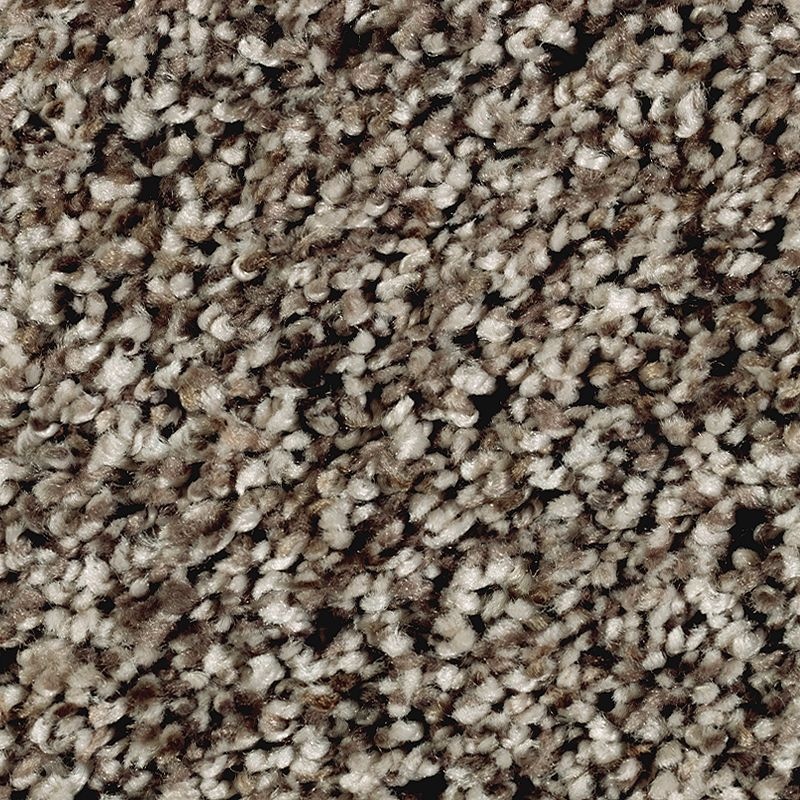 Softly Elegant I Sand Dollar Polyester Carpet - Textured