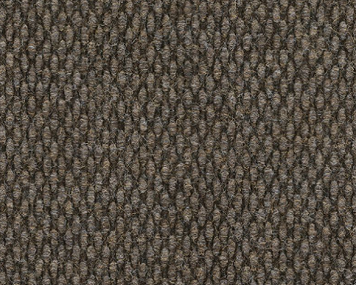 Commons Ii Basketry Polypropylene Carpet - Textured