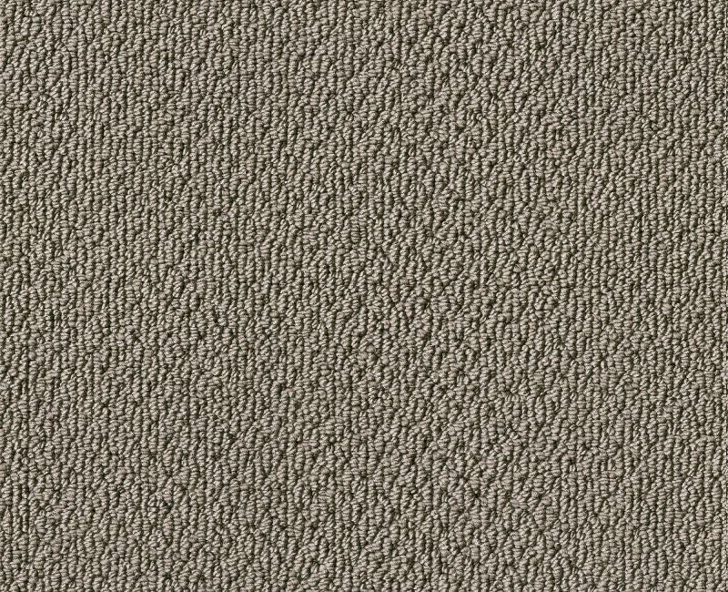 Detailed Statement Loop Rocky Coast Nylon Carpet - Loop