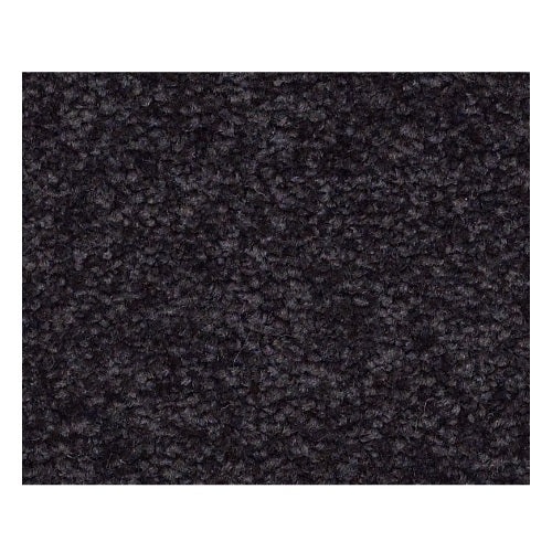 Qs161 15' Graphite Nylon Carpet - Textured
