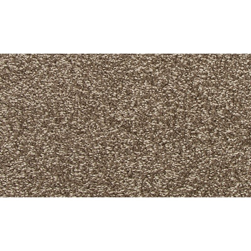 Refreshing Charm Sonora Polyester Carpet - Textured