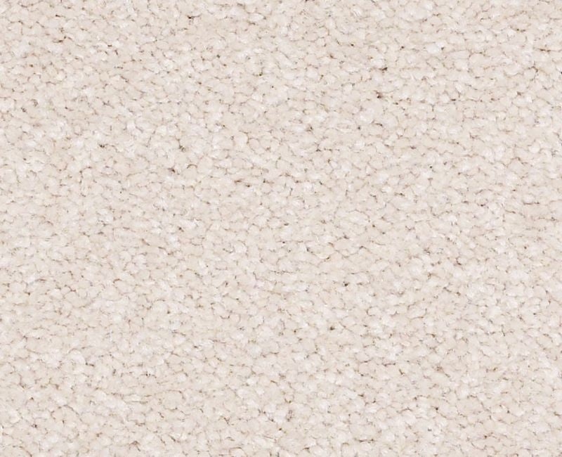 Qs161 15' Pudding Nylon Carpet - Textured
