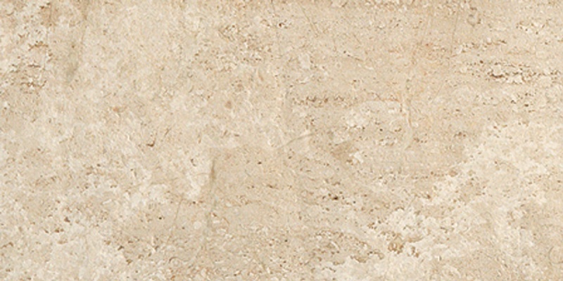 Marmi Daino Reale Porcelain Tile - Honed