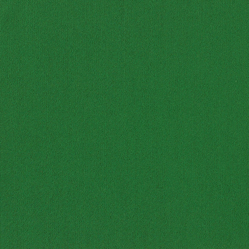 Color Accents Bl Dark Green Nylon Carpet - Textured