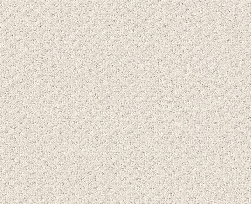 Pure Instinct Crisp Linen Nylon Carpet - Textured