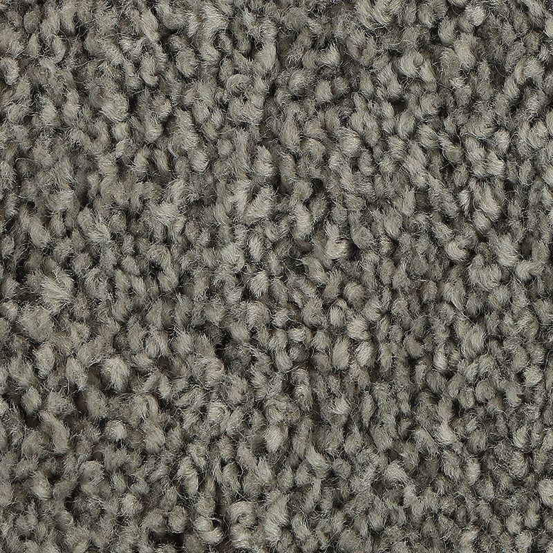 Soft Outlook Legendry Polyester Carpet - Textured