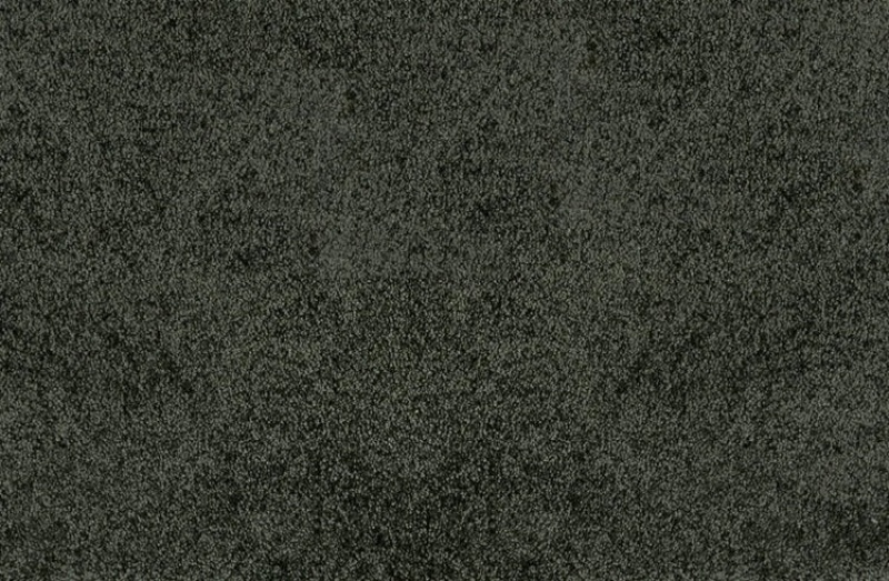 Pet Guard Noble Hunter Solution Dyed Polyes Carpet - Loop