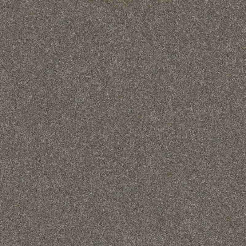 Simply The Best Without Limits Iii Organic Polyester Carpet - Textured