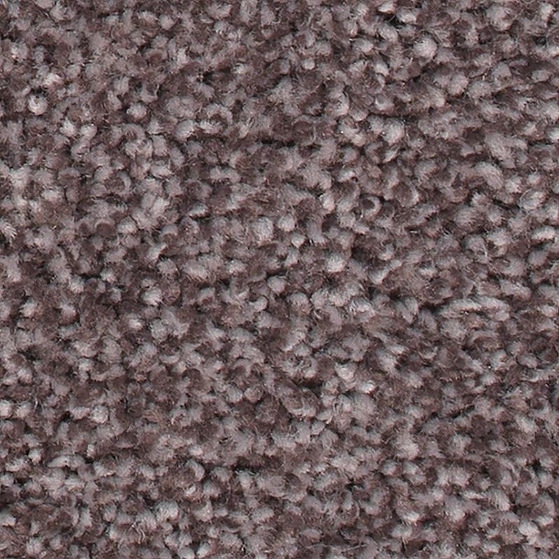 Soft Comfort Dried Peat Polyester Carpet - Textured