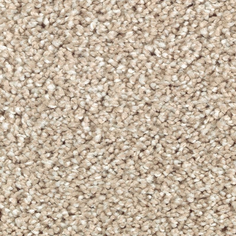 Stonington Manor II Morning Mist Triexta Carpet - Textured